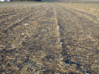 Corn stover remaining after "all" residue baled