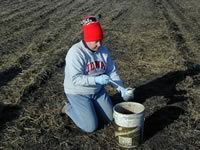 Collecting a liquid manure sample