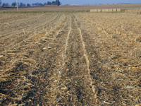 Comparison of corn stover remaining after "all", "partial", and “no“ residue baled