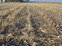 Corn stover remaining after "partial" residue baled