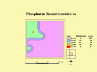 Phosphorus recommendation map